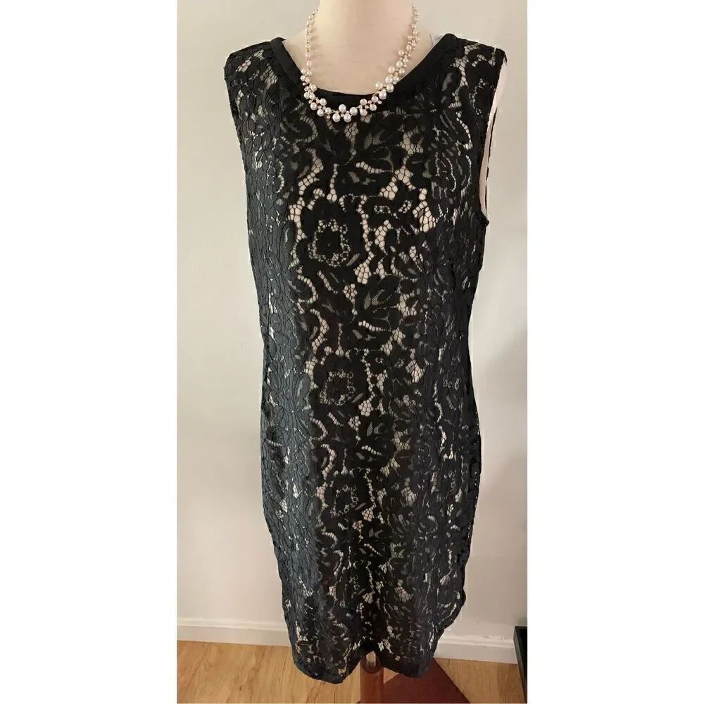 White House black market lace dress black new